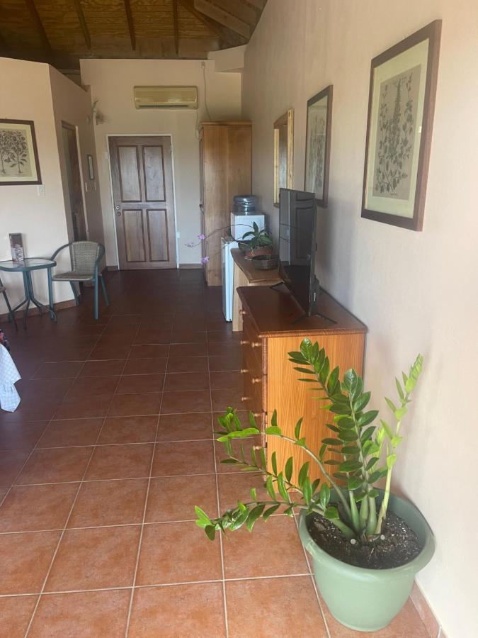 Parrot Hall The Victory Villa מראה חיצוני תמונה