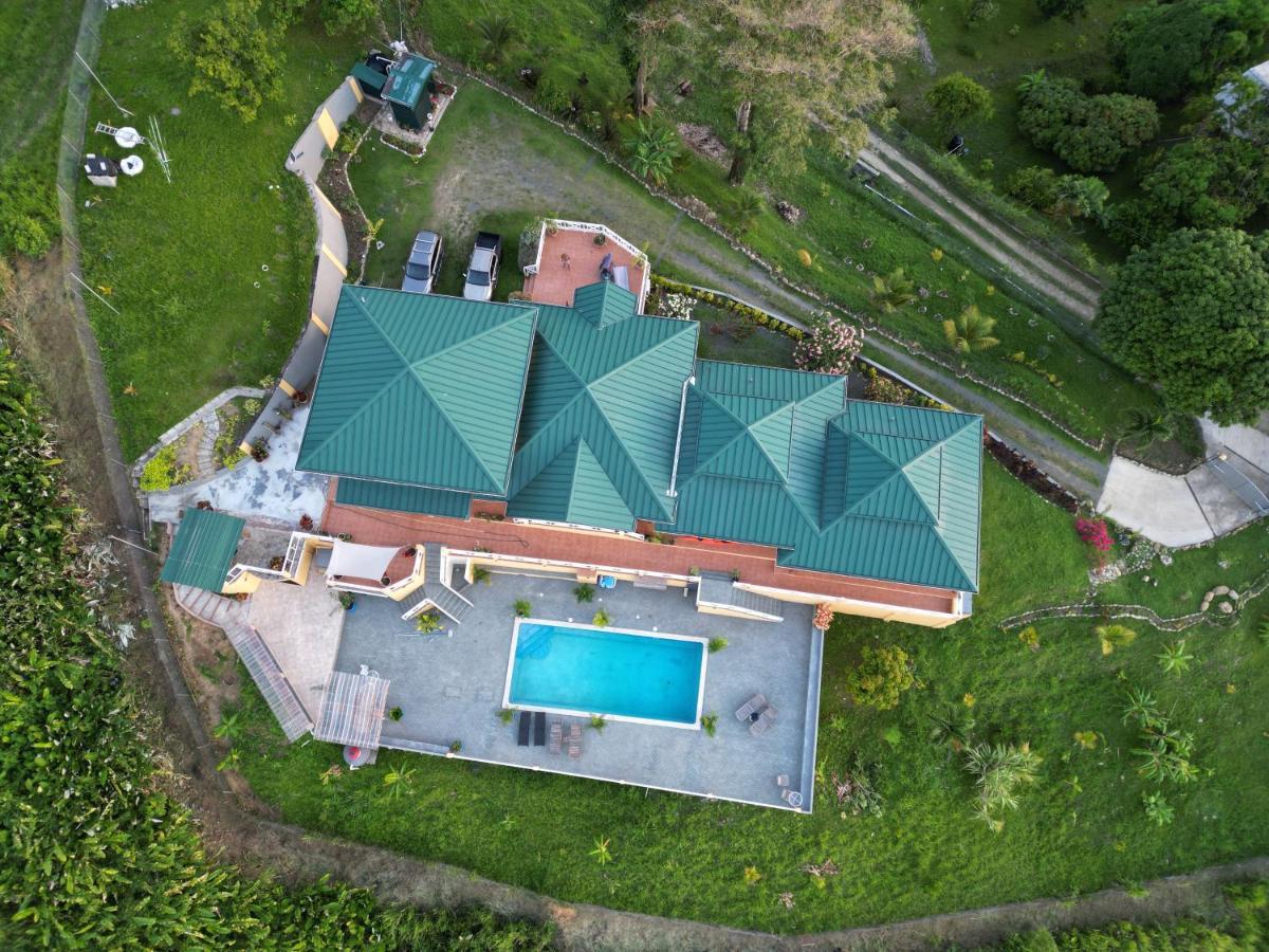 Parrot Hall The Victory Villa מראה חיצוני תמונה
